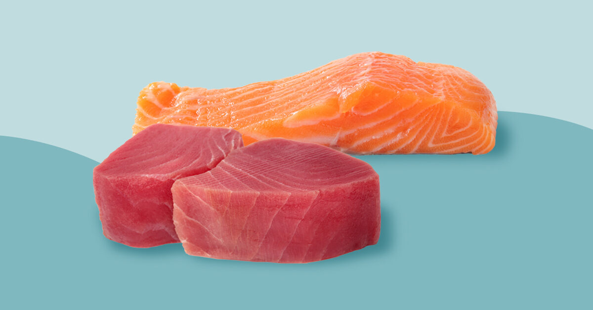 Atum vs. salmão: é um mais saudável? - Respostas Sempre Atualizadas