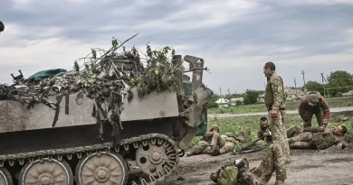 Somente a diplomacia pode acabar com a guerra na Ucrânia: Zelensky e Kiev descartam cessar-fogo – top 10 |  Noticias do mundo