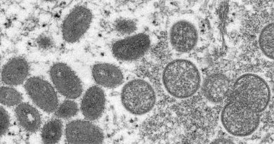 Israel se torna o último país a relatar caso de varíola dos macacos