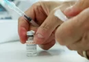OMS diz que varíola não é atualmente uma emergência de saúde global |  Noticias do mundo