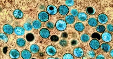 OMS mudará o nome da varíola dos macacos para ‘mpox’