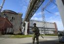 Chefe da AIEA espera encontrar solução para usina nuclear de Zaporizhzhia em breve |  Noticias do mundo