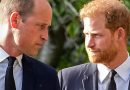 Príncipe Harry ‘estúpido’: autor real sobre relacionamento com príncipe William |  Noticias do mundo
