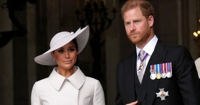 Príncipe Harry e Meghan vão ‘parar de falar sobre a família real completamente’ porque… |  Noticias do mundo