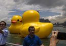 Patos infláveis ​​gigantes fazem sucesso em Hong Kong