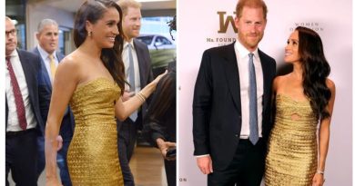 Vitória do Emmy para o príncipe Harry – o programa bombástico da Netflix de Meghan Markle?  |  Noticias do mundo