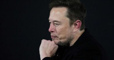 X pode começar a cobrar de novos usuários pelas postagens, diz Elon Musk