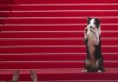 O cachorro Messi vem a Cannes para um bis
